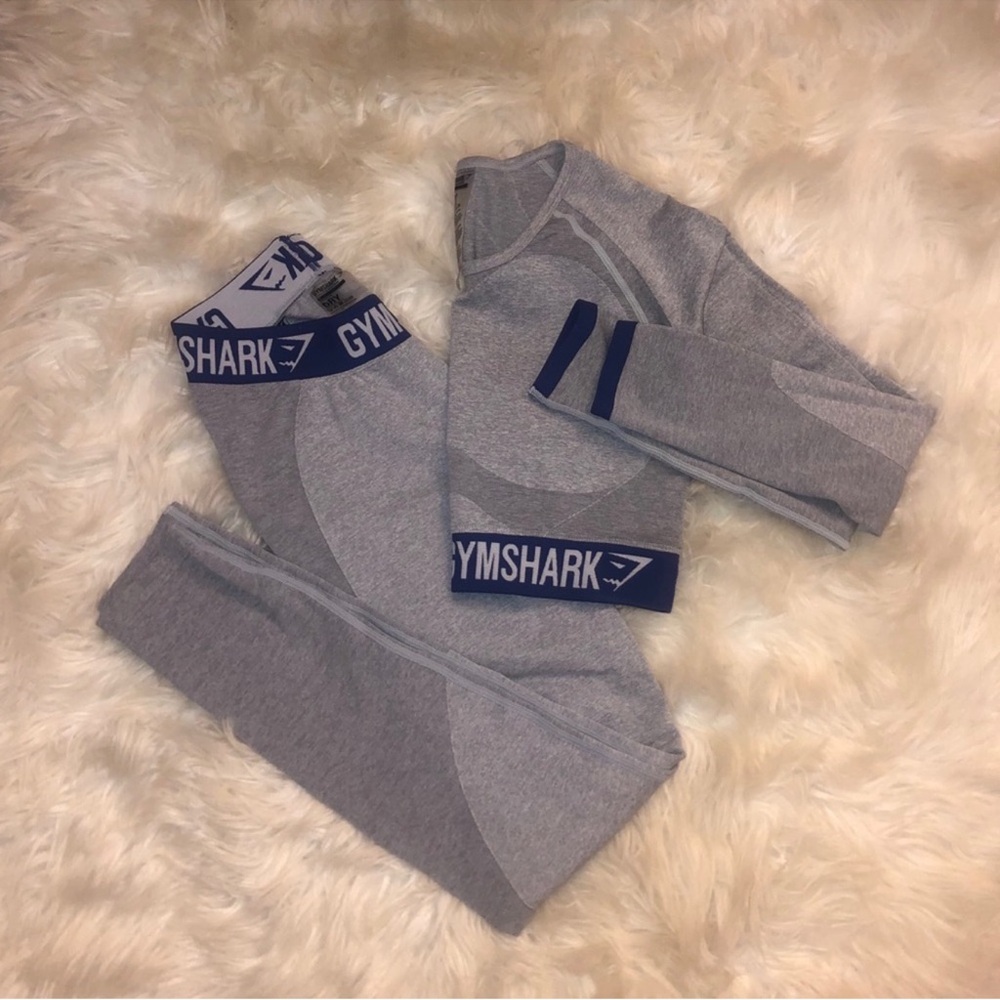 Gymshark Gray and Blue/Purplish Set